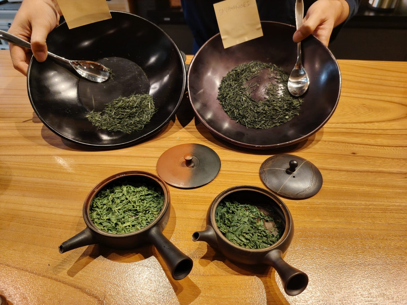 Degustazione di shincha a Treviso tè freschi dal Giappone Tè giapponesi del nuovo raccolto in degustazione a Treviso