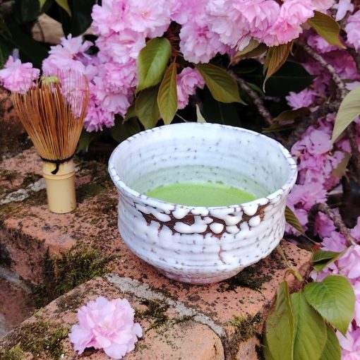 Prenotazione Workshop Matcha | sabato 9 maggio 2026 alle 10.30