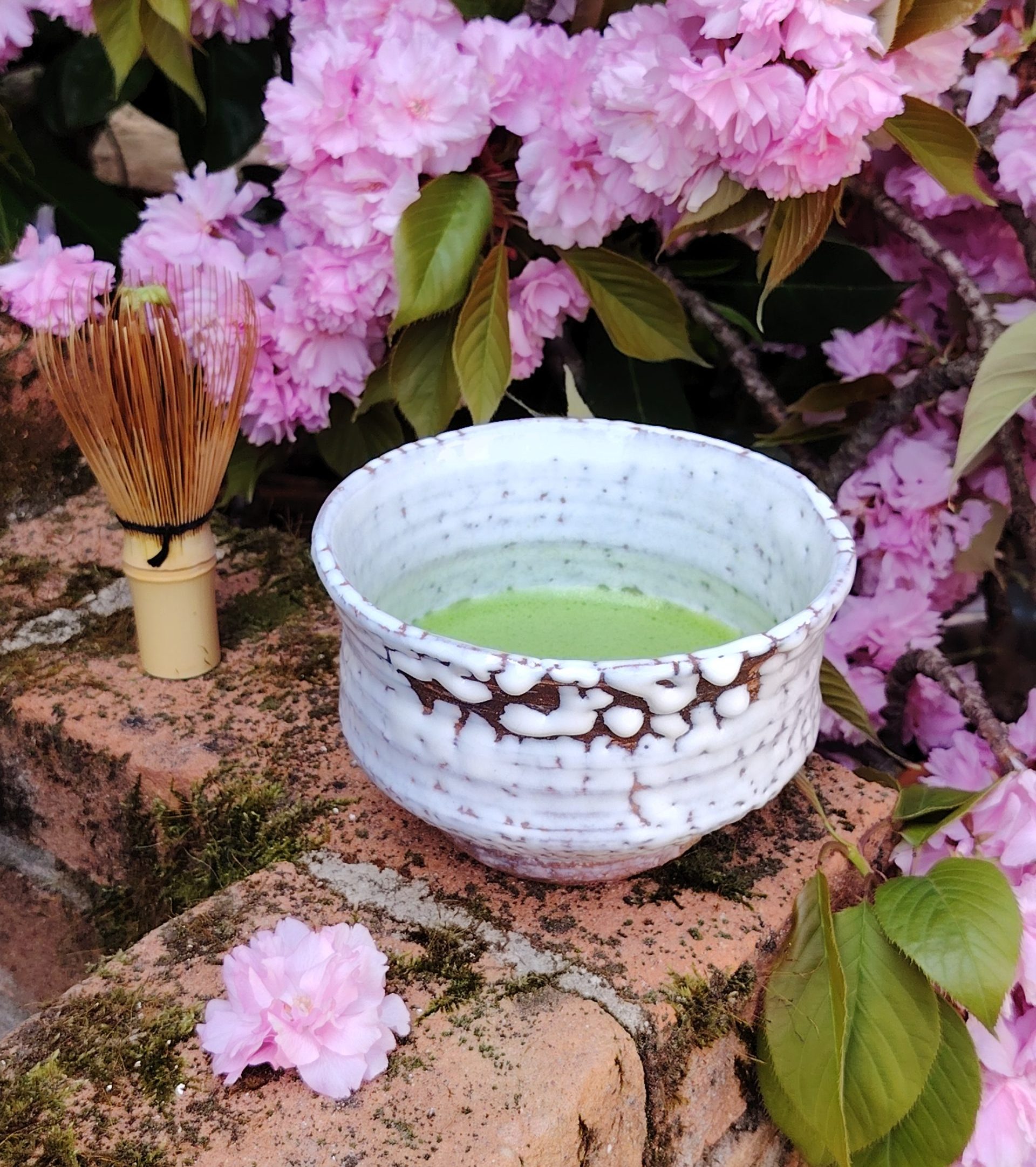 Workshop Matcha – storia, proprietà e preparazione | sabato 9 maggio 2026 alle 10.30