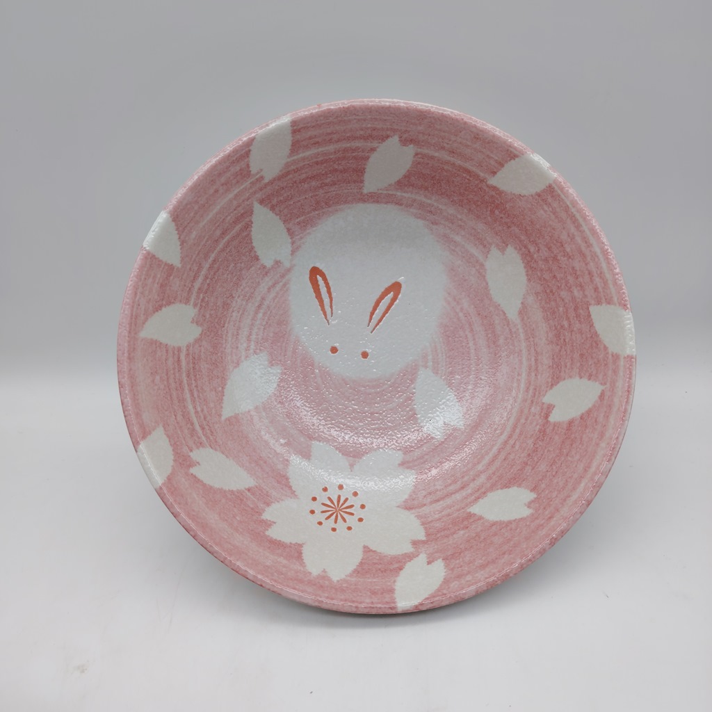 Set di due ciotole da ramen rosa e blu con coniglietti - immagine 3