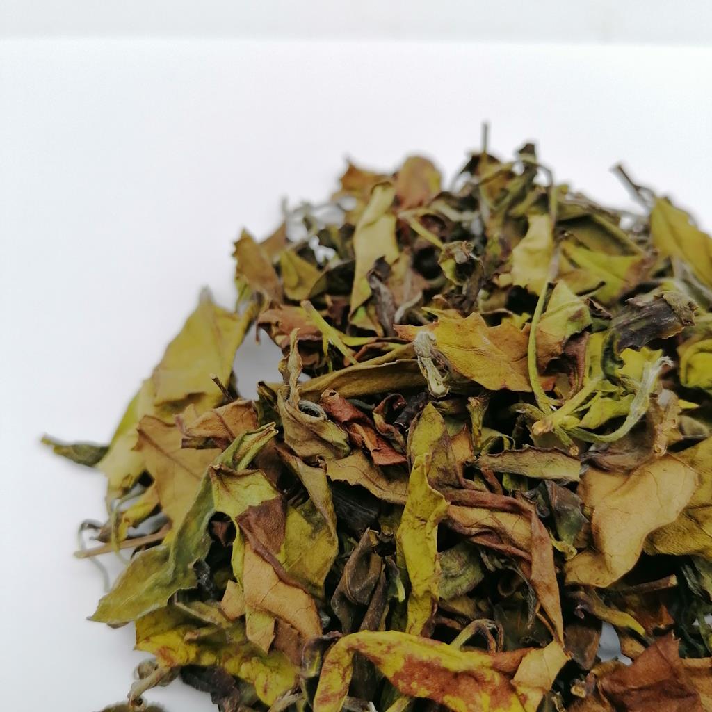 Tè bianco giapponese di Kaneroku Matsumoto - 10gr - immagine 5